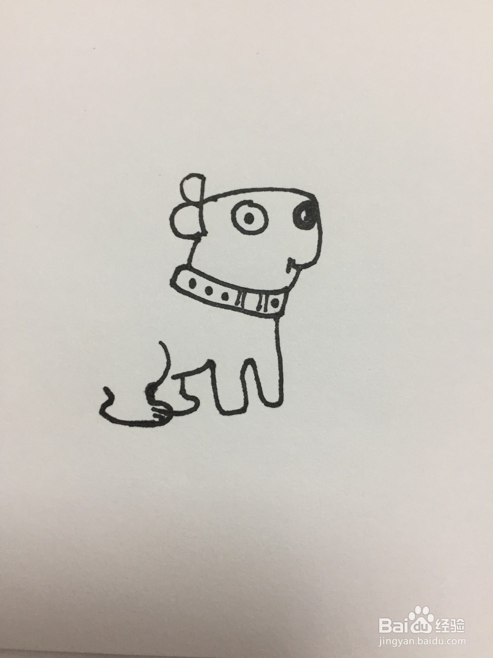 用英文dog画狗狗