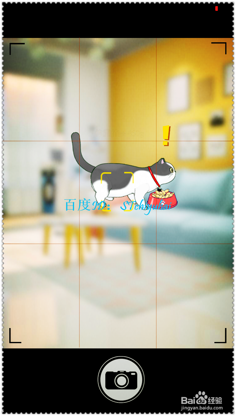 如何参与淘宝618的养猫活动