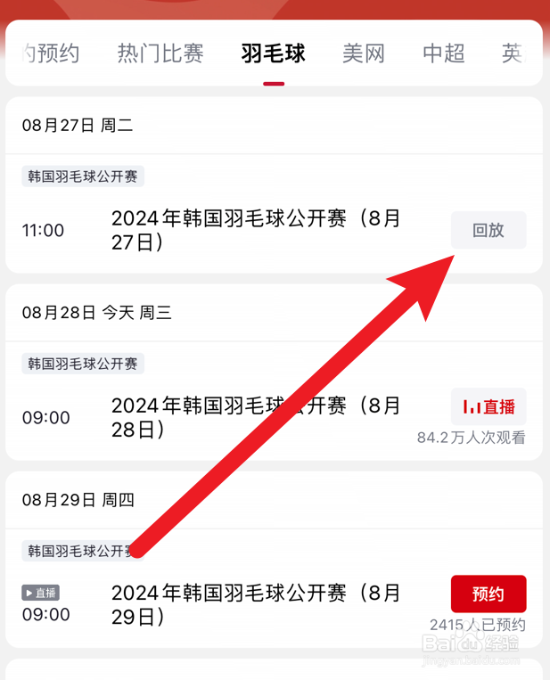 2024年韩国羽毛球公开赛回放在哪看