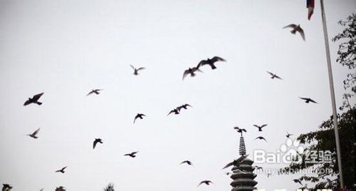 行走厦门，要的就是这种信步的感觉