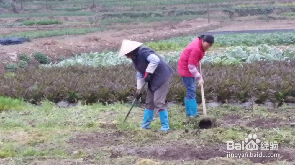 可降解防草布使用做多可以使用几年