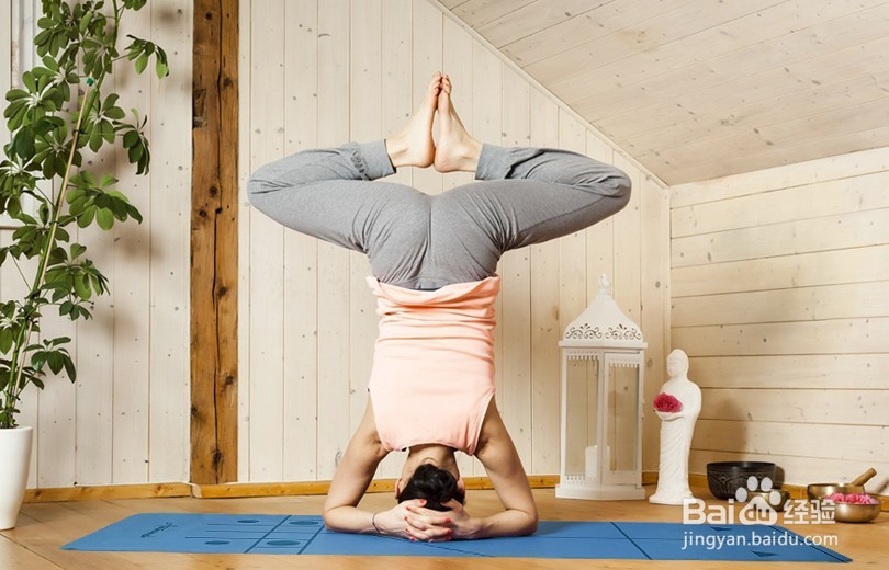 进阶体式——上莲花倒立式