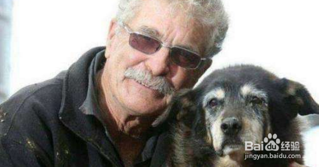 狗狗几岁开始衰老，衰老的表现有哪些？