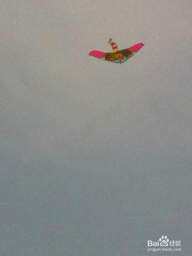 城市中的孩子该如何度过美好周末？