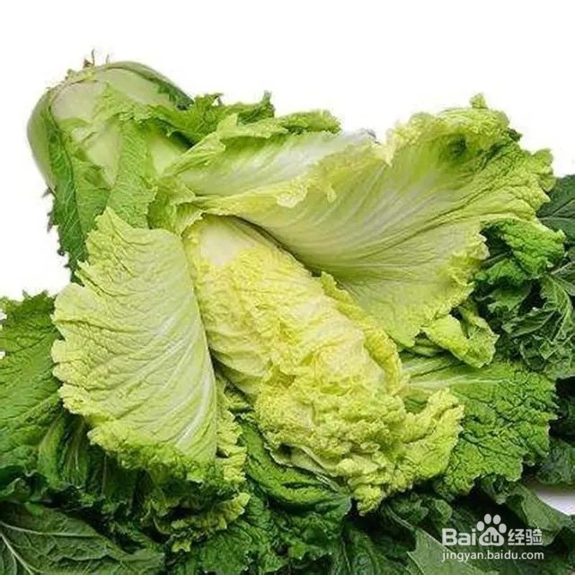 白叶、绿叶大白菜和娃娃菜的区别？