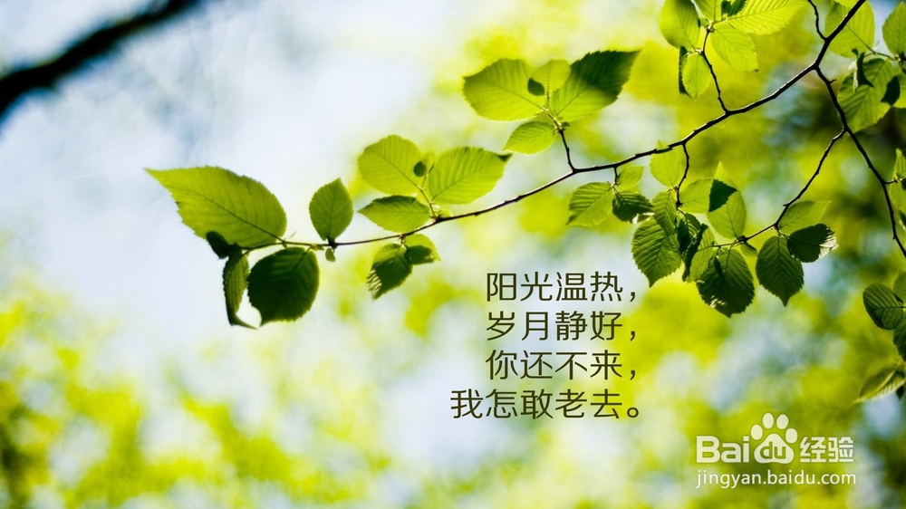 改变美妙人生的50个经典句子，你值得拥有！