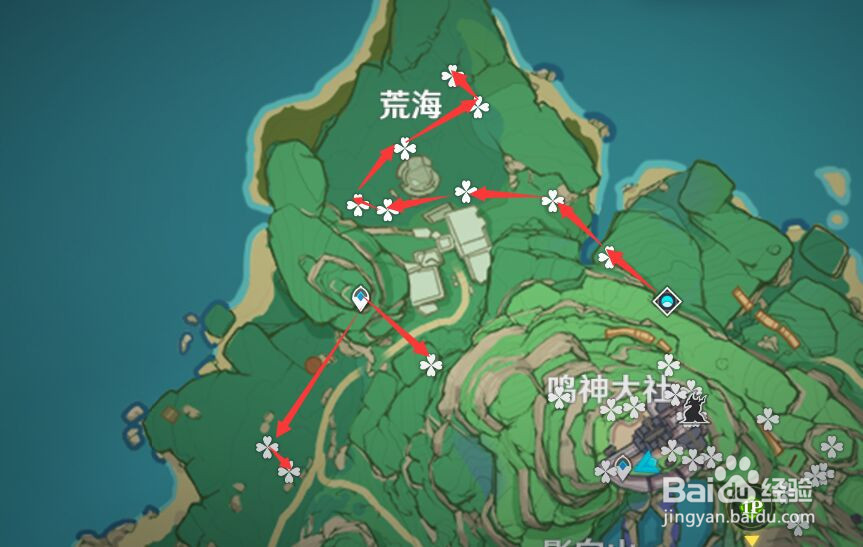 原神绯樱绣球分布以及高效率采集路线
