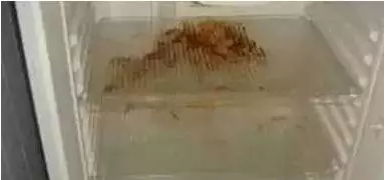 清理小知识-------油质,污质都是小意思