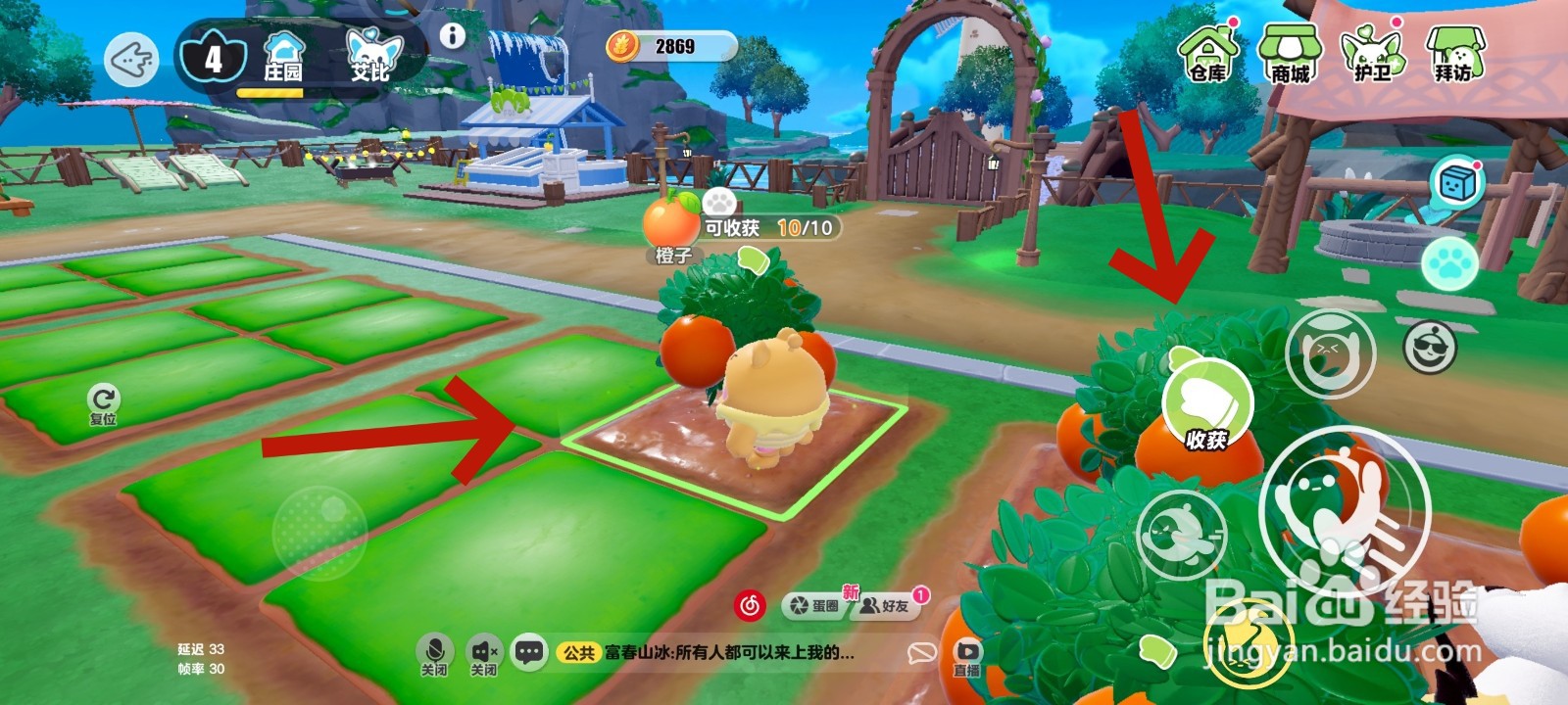 蛋仔派对游戏中摘橙子的教程