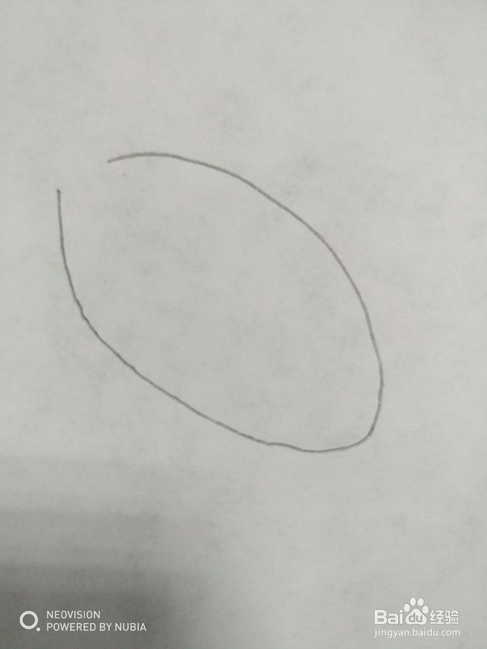 简单的小鱼怎么画（十）