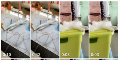 snapchat保存视频步骤介绍