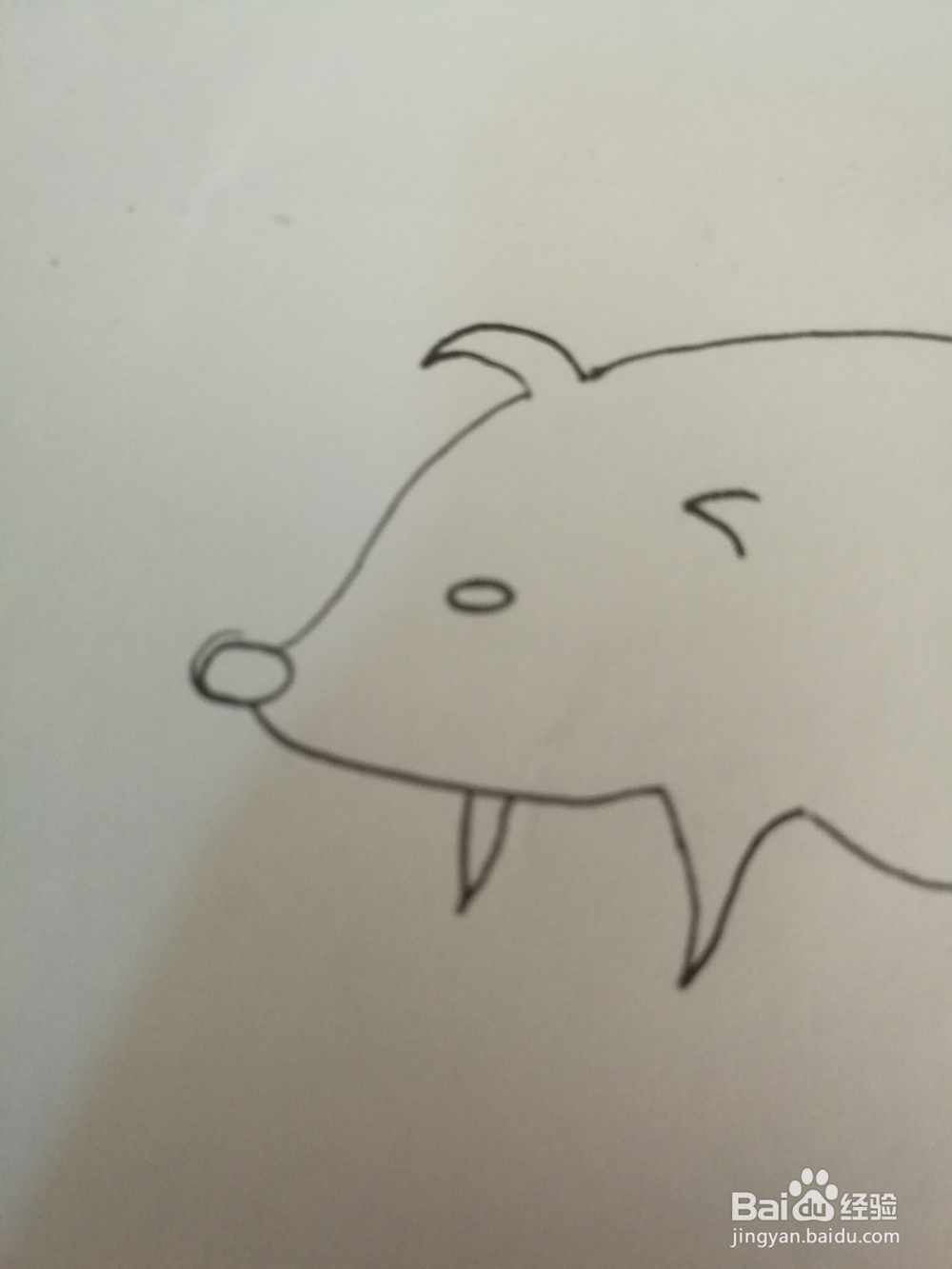 如何画一只卡通猪的简笔画