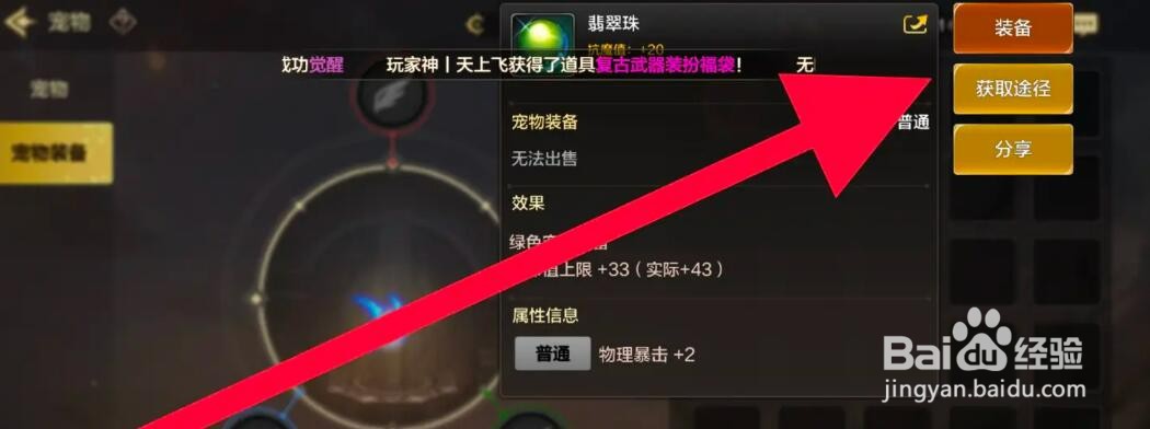 DNF手游佩戴宠物装备的方法