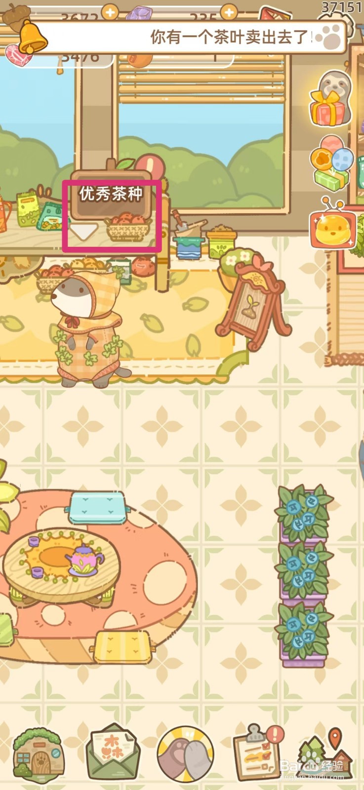 鼹鼠同行之森林之家如何获得金盏盏