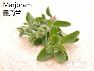 做面包、蛋糕、饼干需要什么食材呢?