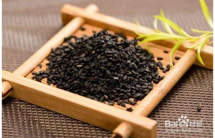 脱发可以补充什么食物？