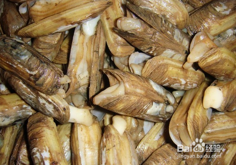 食品中有哪些常见的有毒污染物?