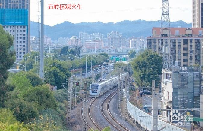 厦门山海步道游玩攻略