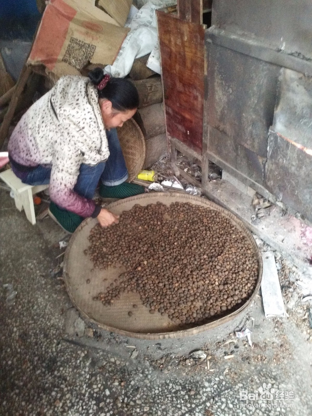 山羊洞特色产品茶油简介