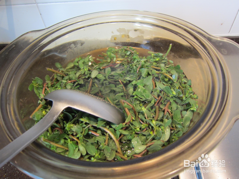 凉拌小菜蒜泥马齿苋的做法