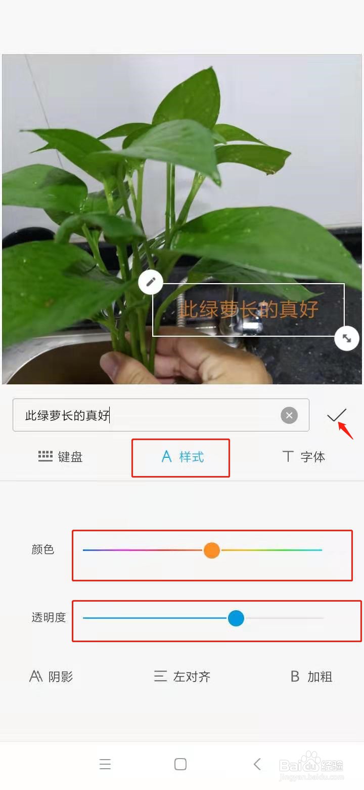 手机照片如何添加文字