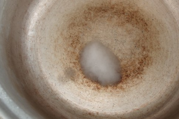 如何能制作出嫩滑又有弹性的豆腐