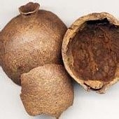 缓解烧烫伤的简易方