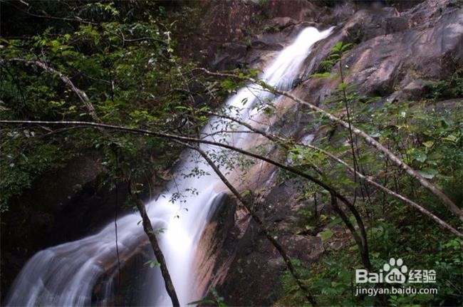 九龙江风景区旅游景点攻略