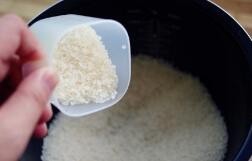 苏泊尔电饭煲怎么区别型号