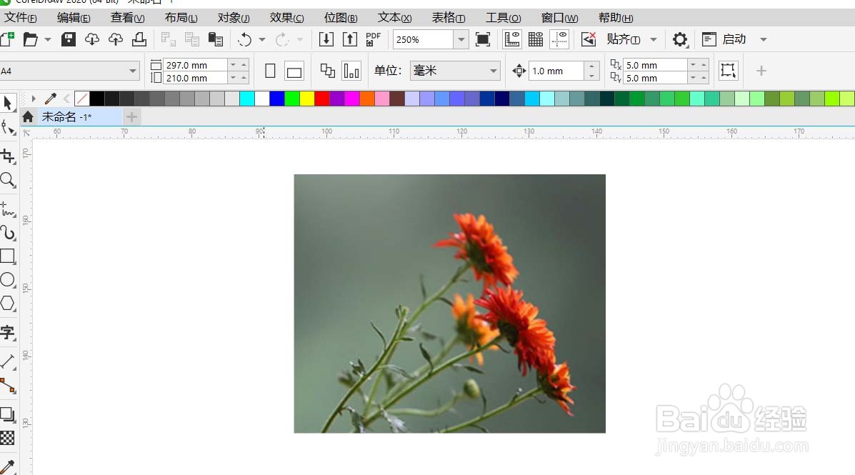 CorelDRAW怎样给图片做玻璃砖效果