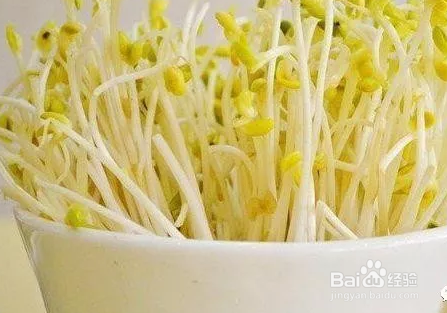 吃无根豆芽对身体有哪些危害