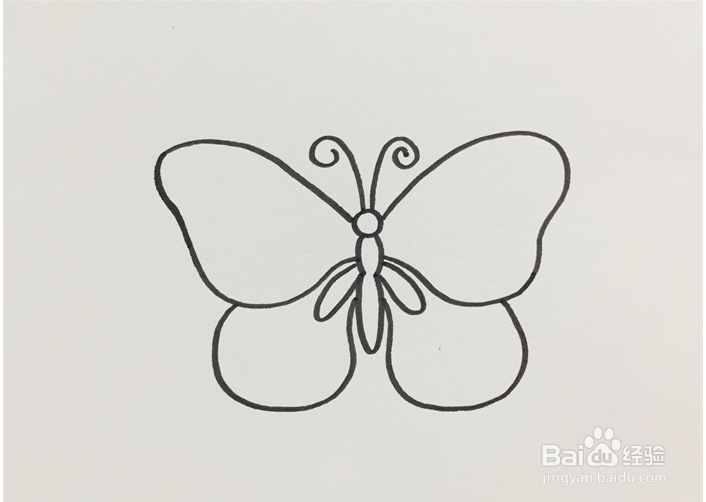 蝴蝶的花纹怎么画