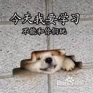 专科生毕业后怎样升本科