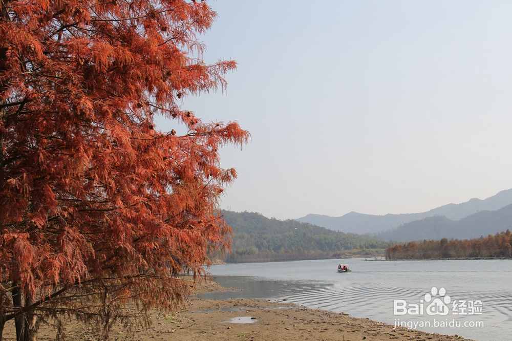 皖南川藏线、国道S218线路4天自驾游