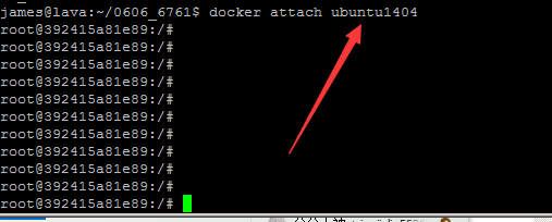 编译智能手机的docker不能使用的解决方法