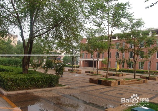 怎么背书才能记得牢