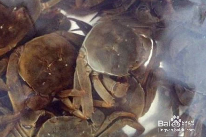 螃蟹钳子上的黑毛怎么处理