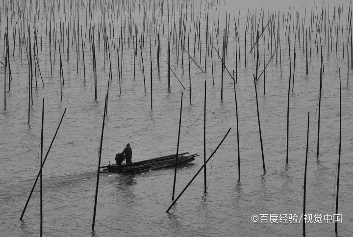 关于人心人性的句子