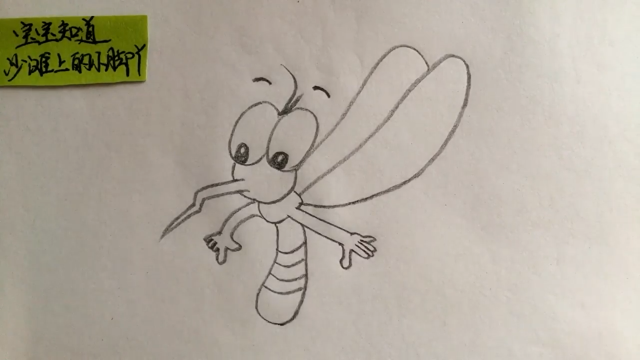 简笔画大蚊子怎么画