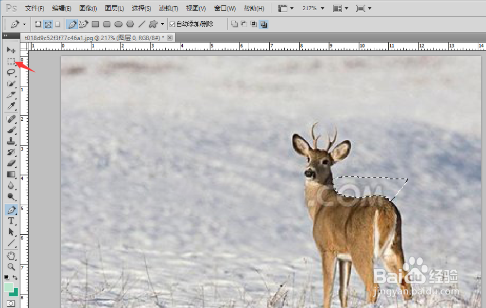 干货|如何去除图片水印,高级处理方法