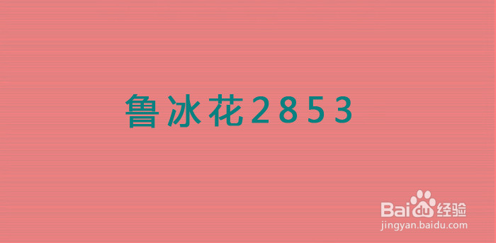 怎么更改淘宝用户名