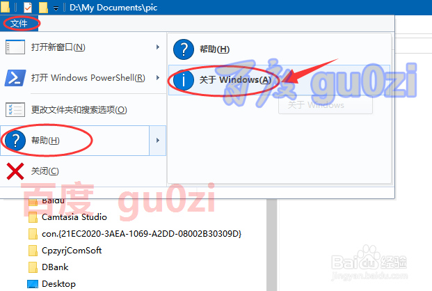 Win10什么版本,Win10版本号多少,Win10内部版本