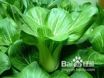 糖尿病营养师马惠津高是您糖尿病人吃什么好