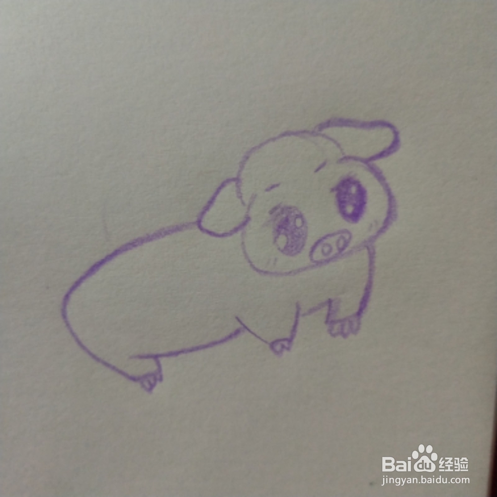 2019年简笔画紫色猪怎么画