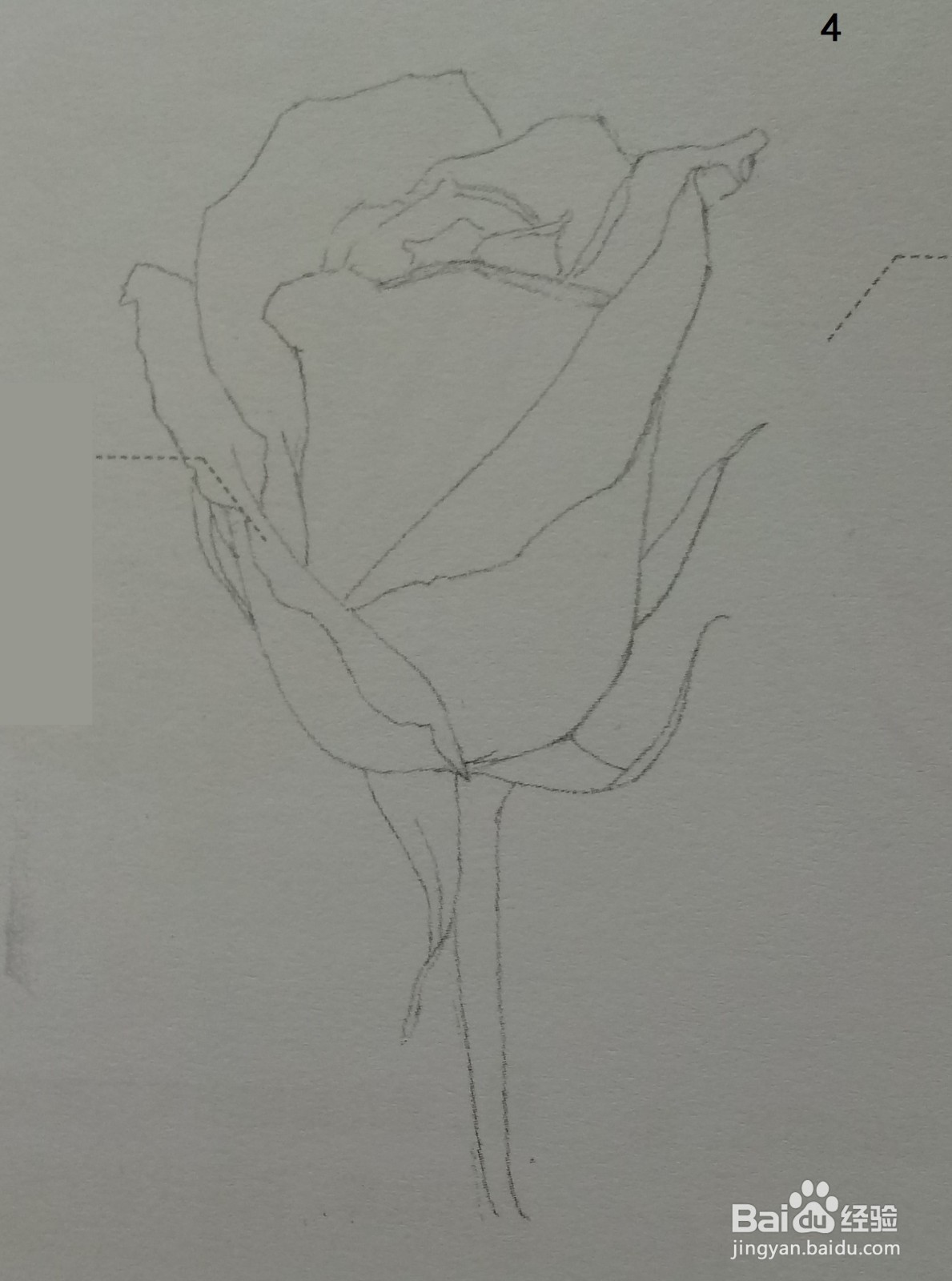 色铅笔画一朵红玫瑰(素描进阶)