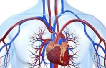 什么样的人群不能吃咸鸭蛋呢？