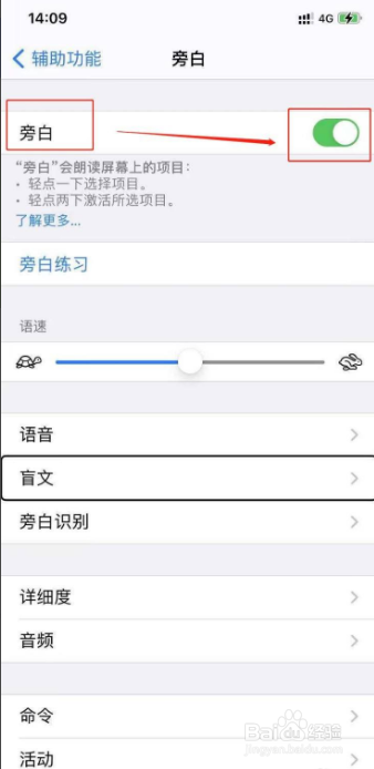 苹果11怎么打开旁白功能
