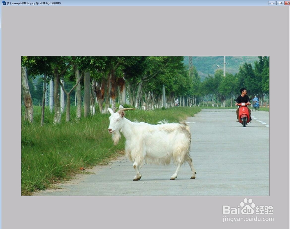 Photoshop仿制图章工具的运用