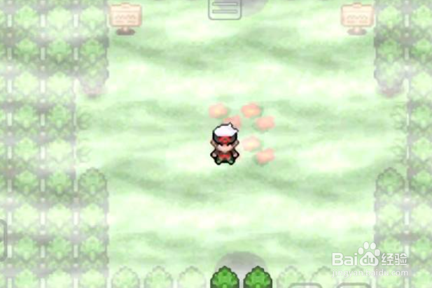 究极绿宝石5迷途之森怎么走