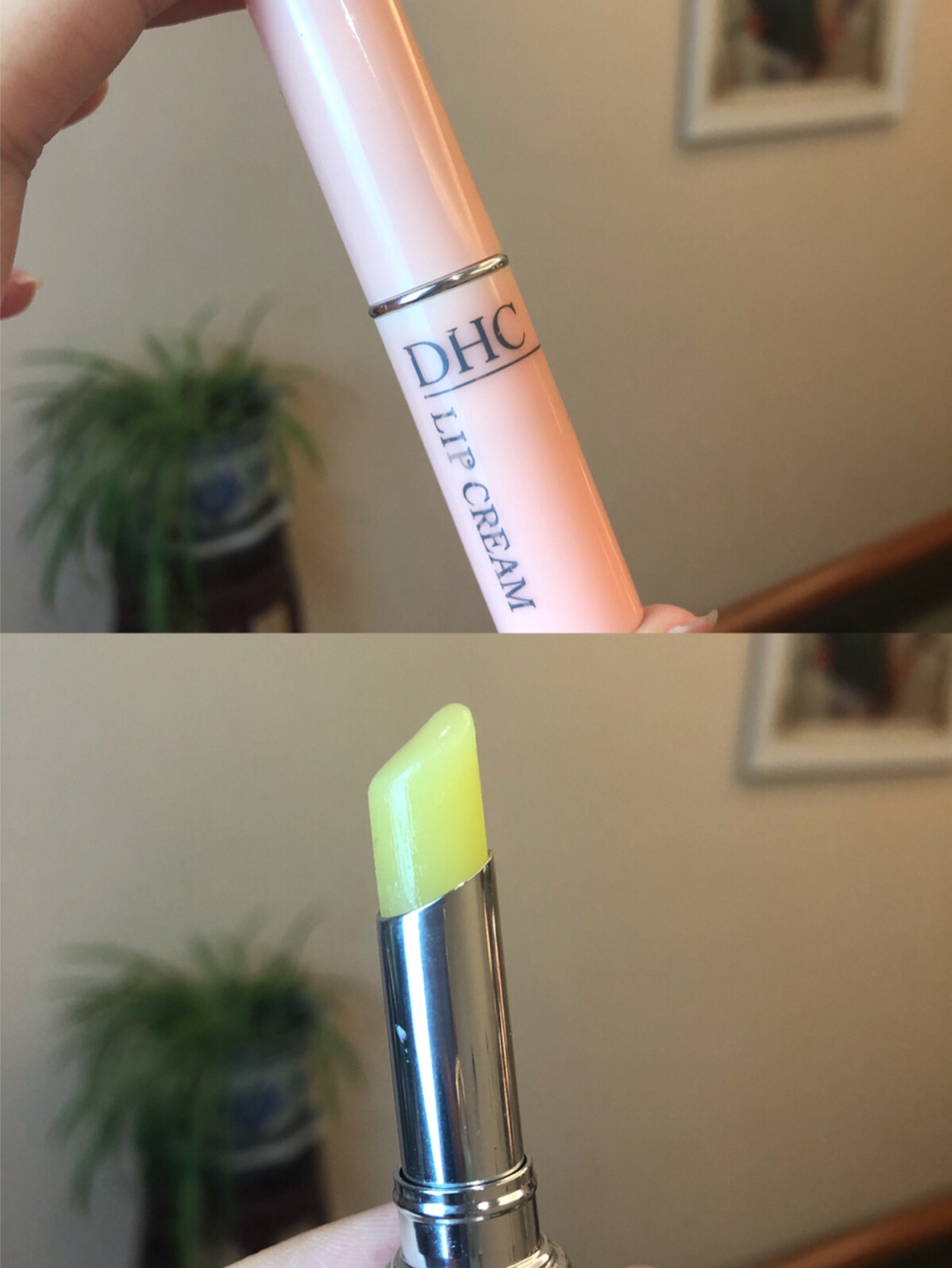 超火唇膏深度测评合集！唇部保养合集！